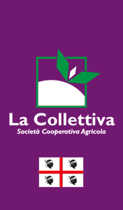 LA-COLLETTIVA-SMART-SITO-221019